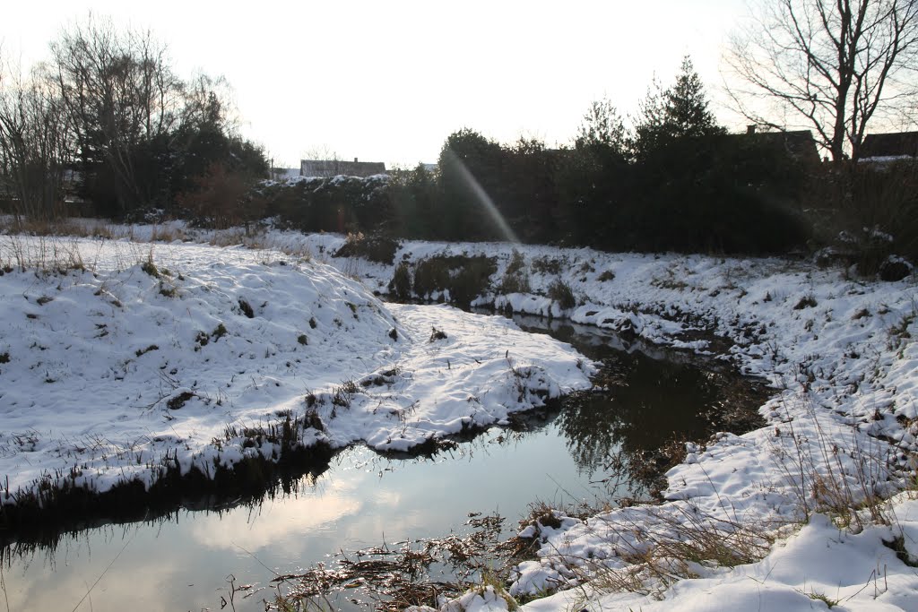 Cove Brook Greenway in the snow