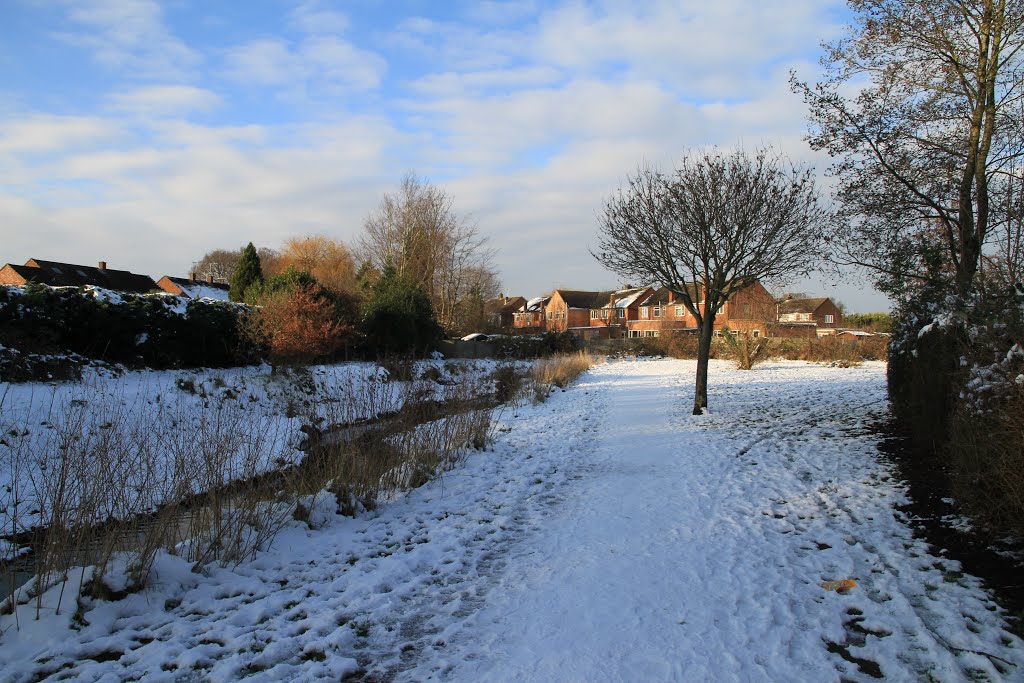 Cove Brook Greenway in the snow