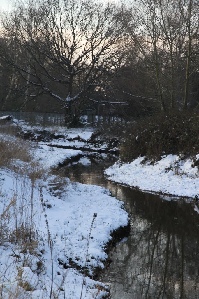Cove Brook Greenway in the snow