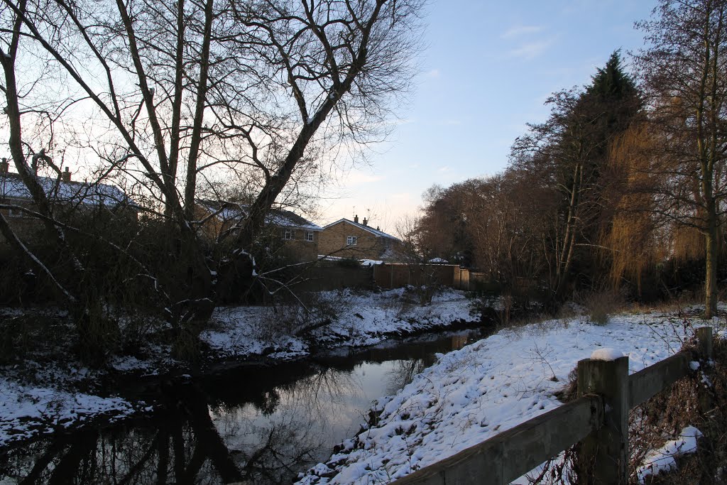 Cove Brook Greenway in the snow