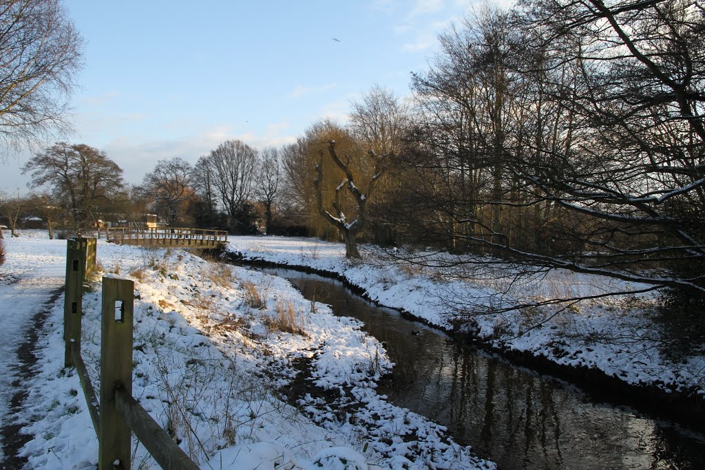 Cove Brook Greenway in the snow