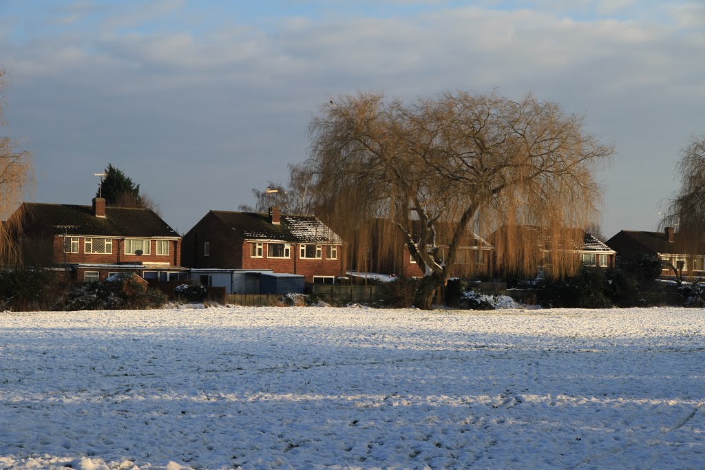 Cove Brook Greenway in the snow