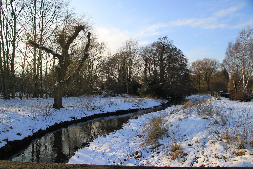 Cove Brook Greenway in the snow