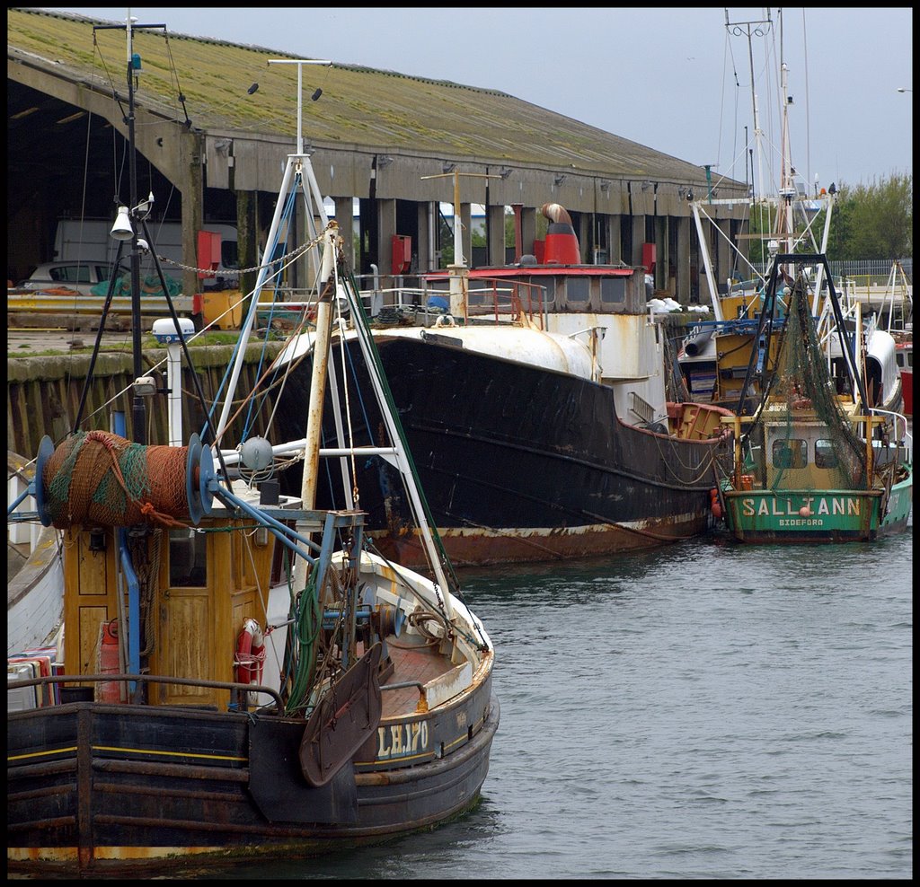 fleetwood dock 2009