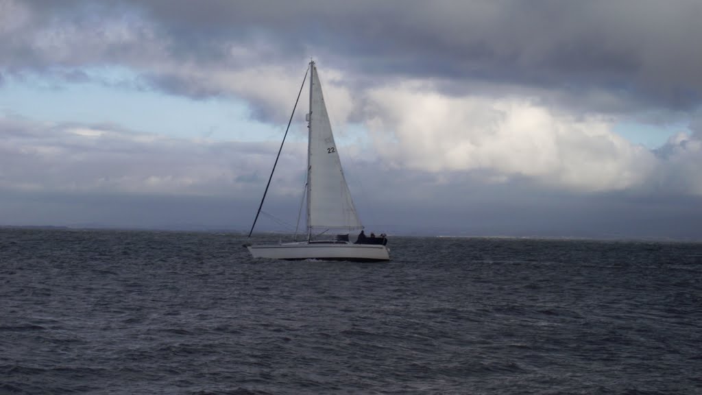 Out To Sea