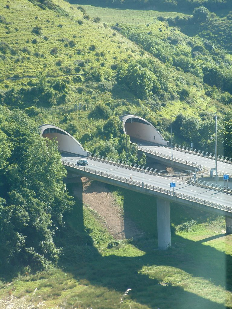Roundhill tunnels