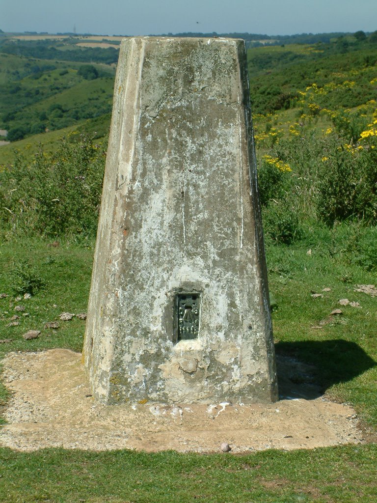 Trig point
