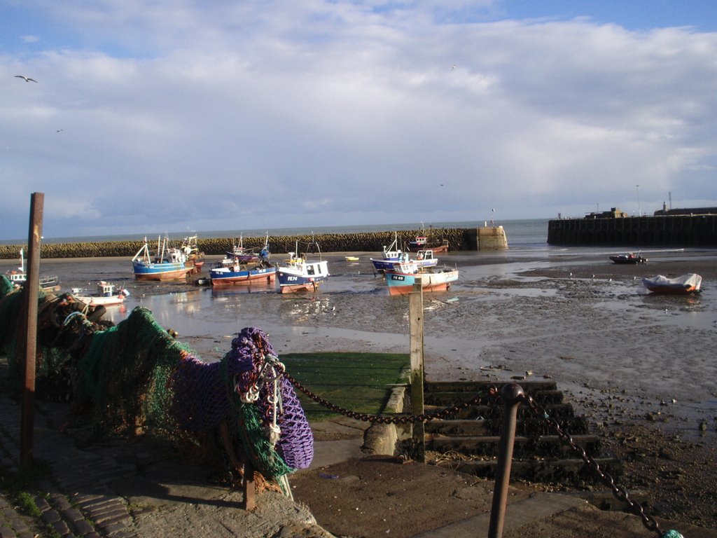 The Harbour