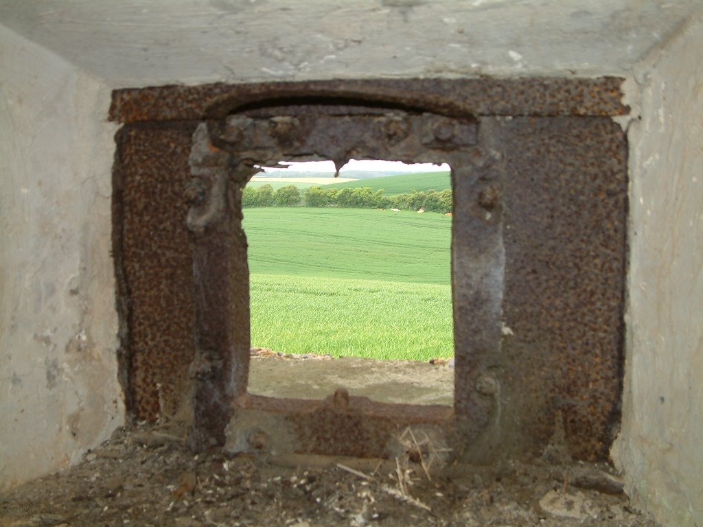 View out
