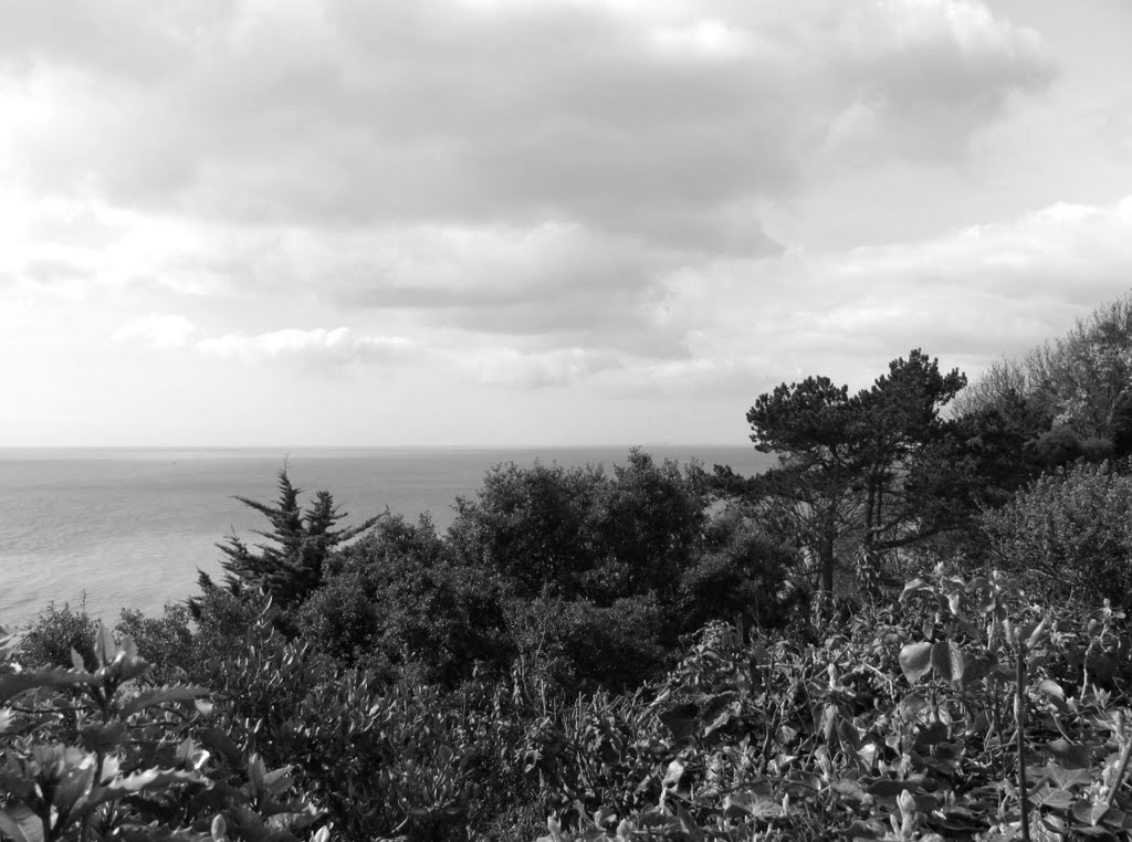 la Mer du Nord vue du Leas