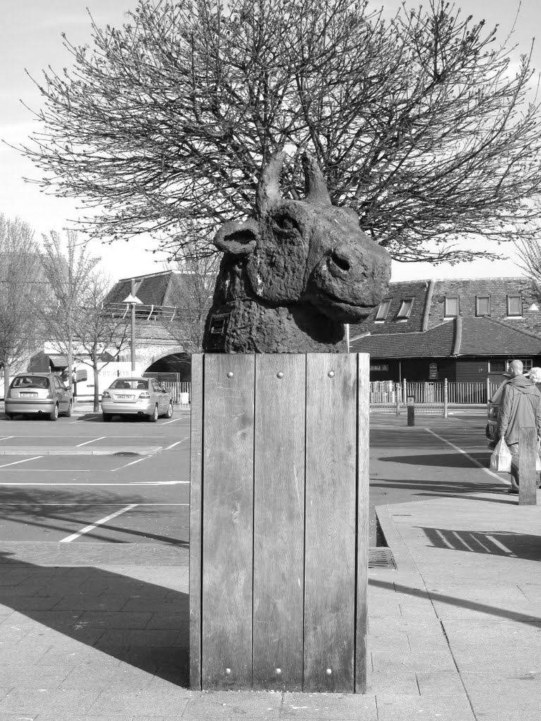 tête de taureau