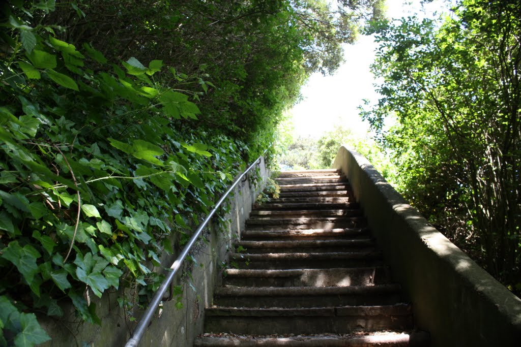 Steps to top .From Folkestone Beach