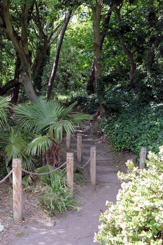 Wooded path, The Leas, Folkestone