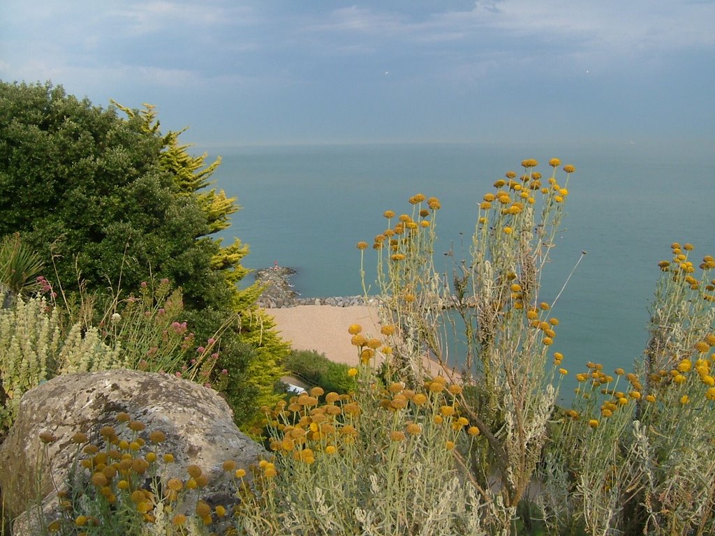 Folkestone1