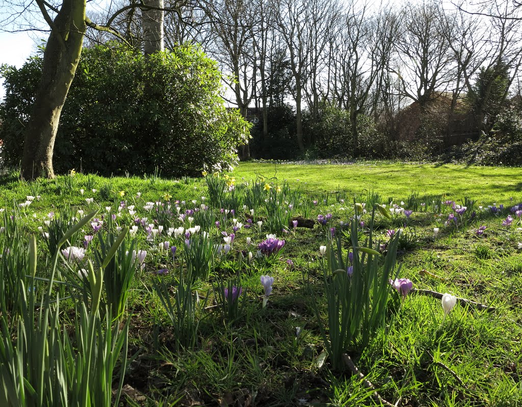 A little bit of heaven in residential Formby