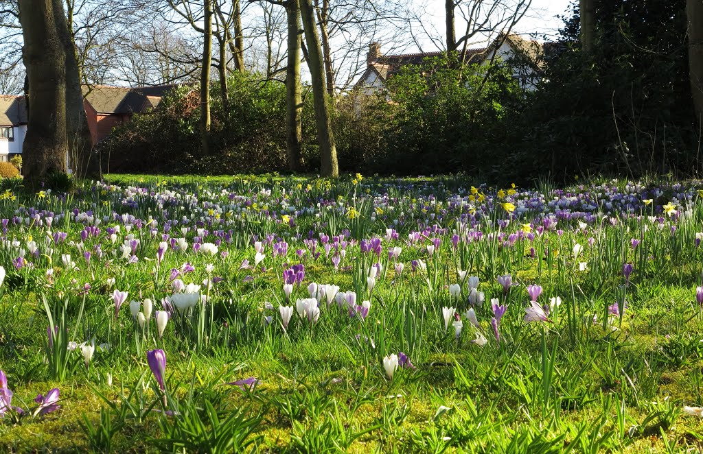 The residents Amenity Garden