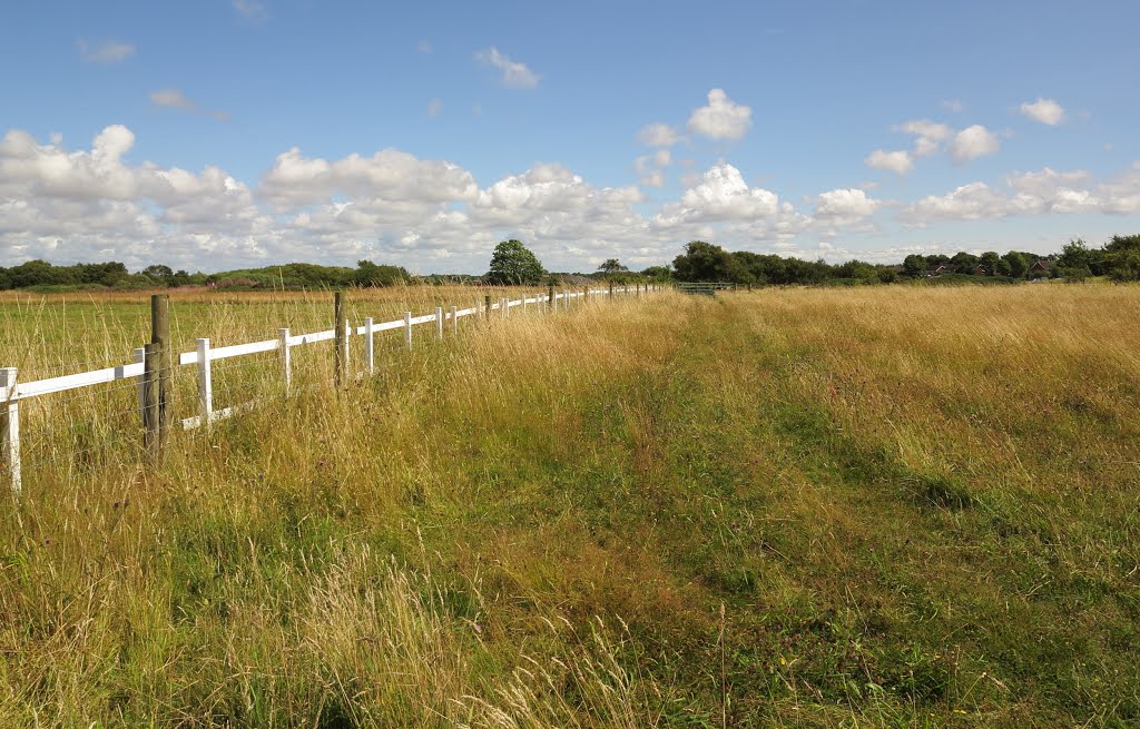Farmland on the fringe of Formby