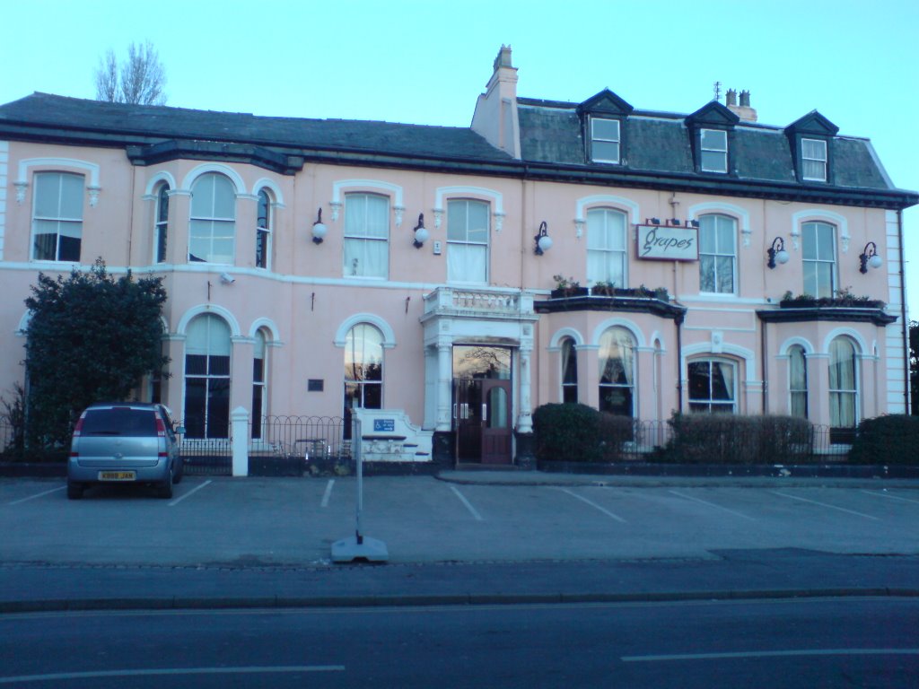 The Grapes