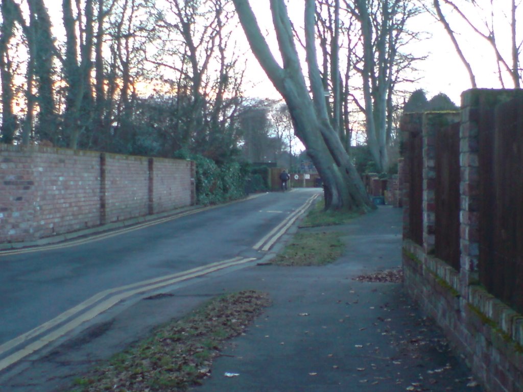 Cricket Path