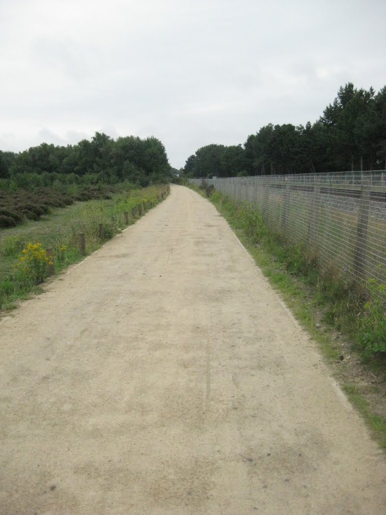 Path next to the railway line