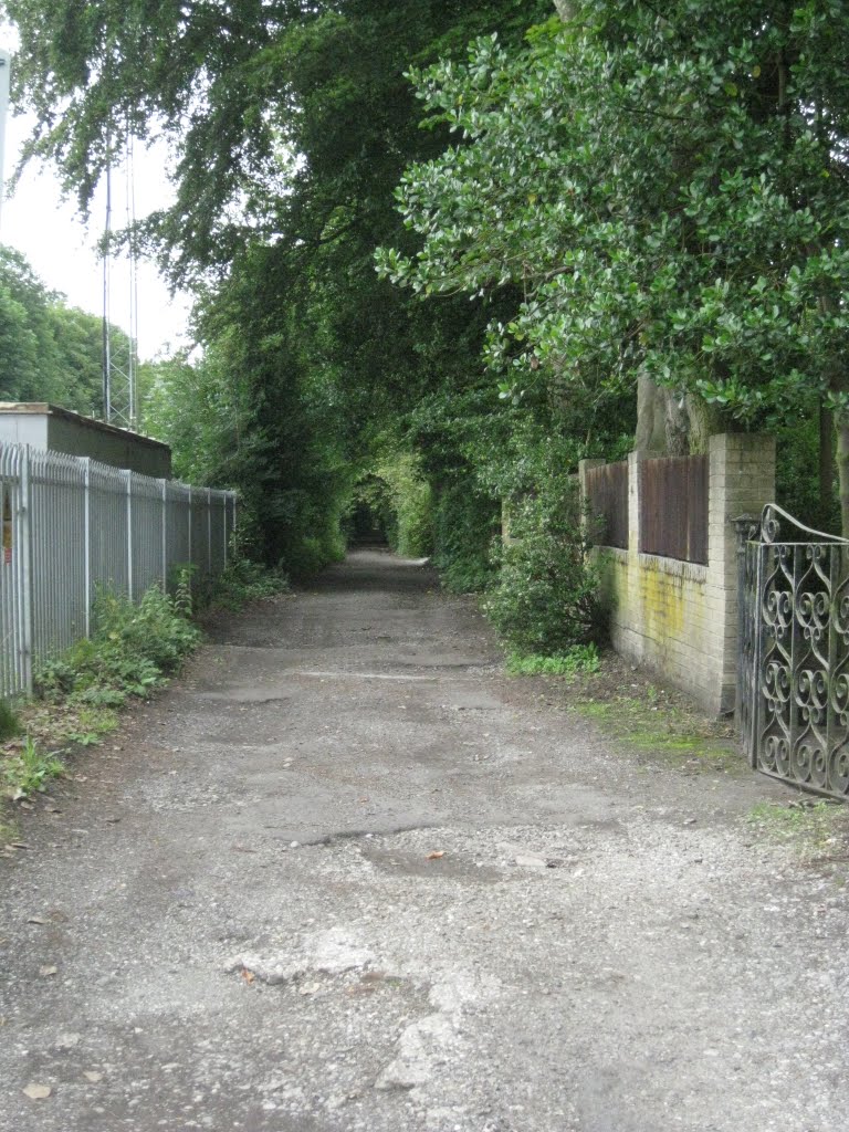 College Avenue, Formby