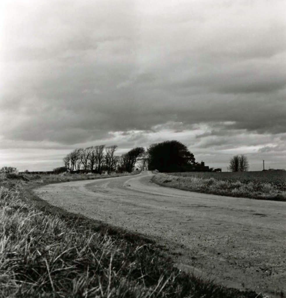 The Old Road