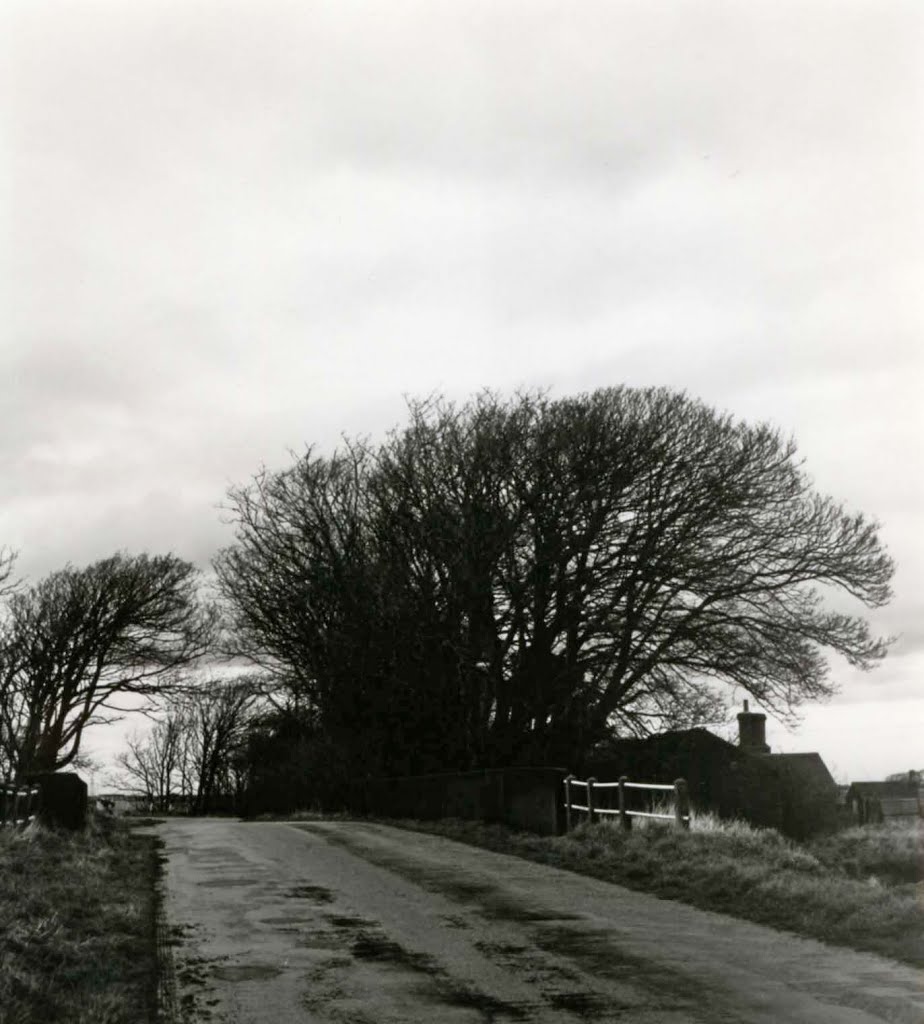 Cottage nestling by the River Alt