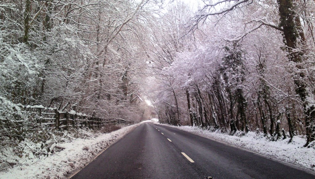 Leigh Park
