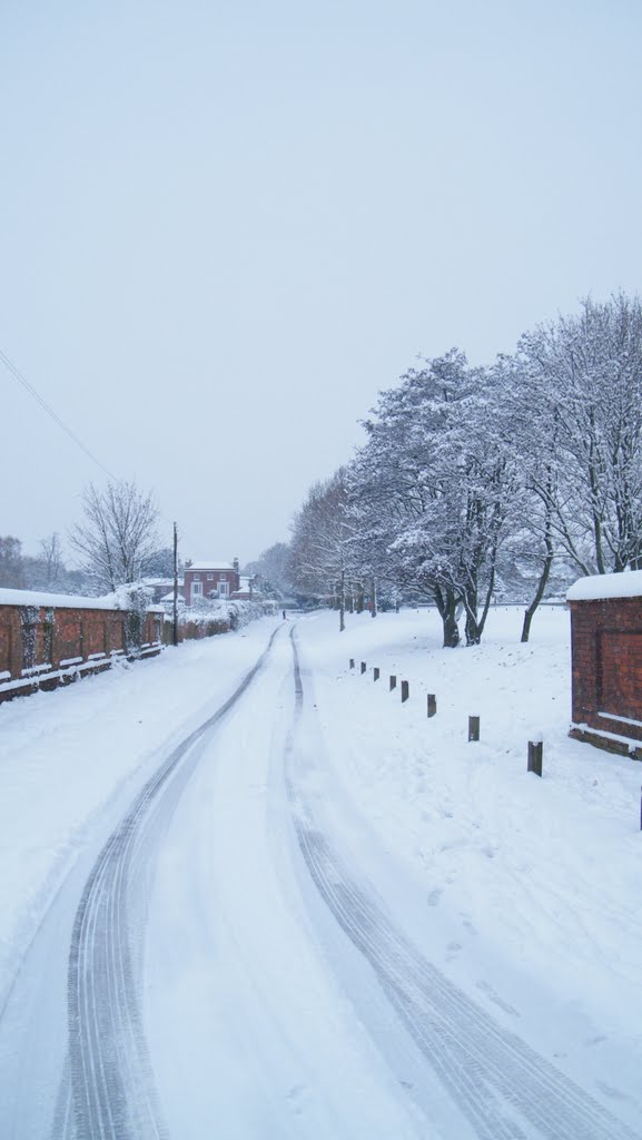Bidbury Lane in the snow