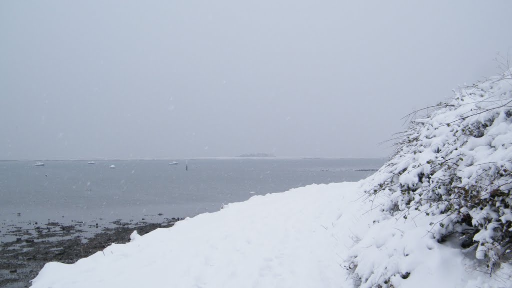 Snow on the coast