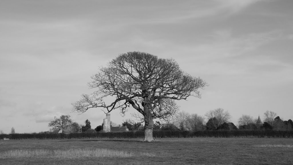 Warblington Castle (B&W)