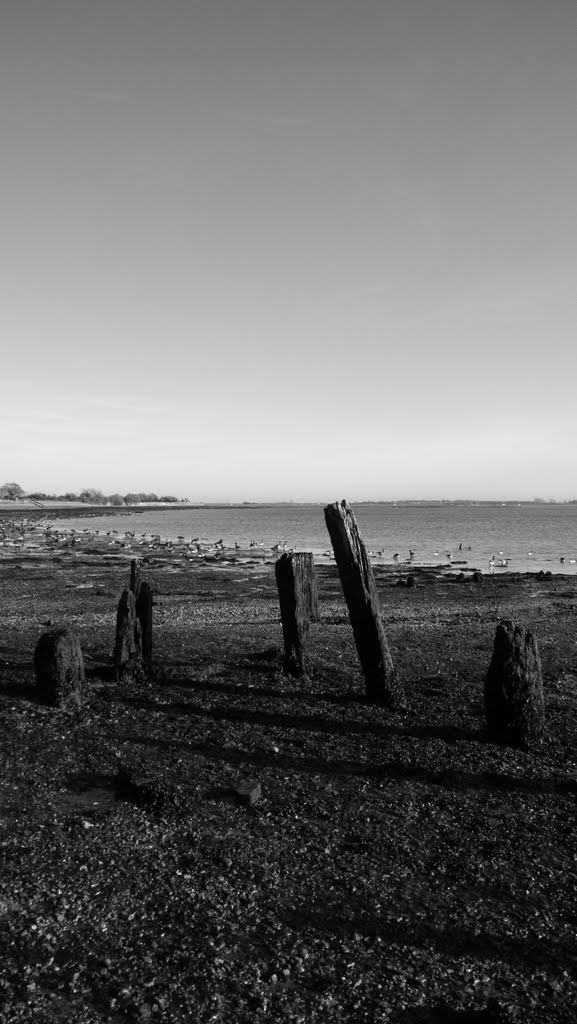 Low Tide (B&W)