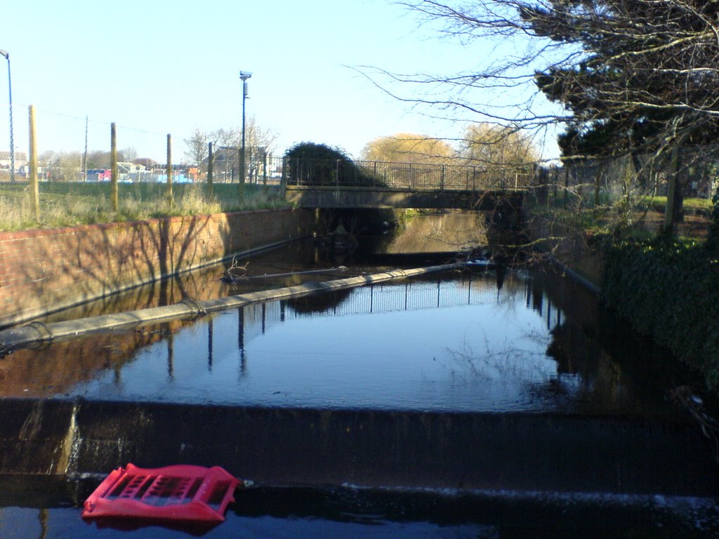 stream in bedhampton from road drains ect