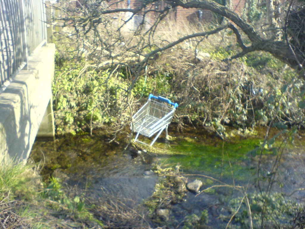 off my trolley