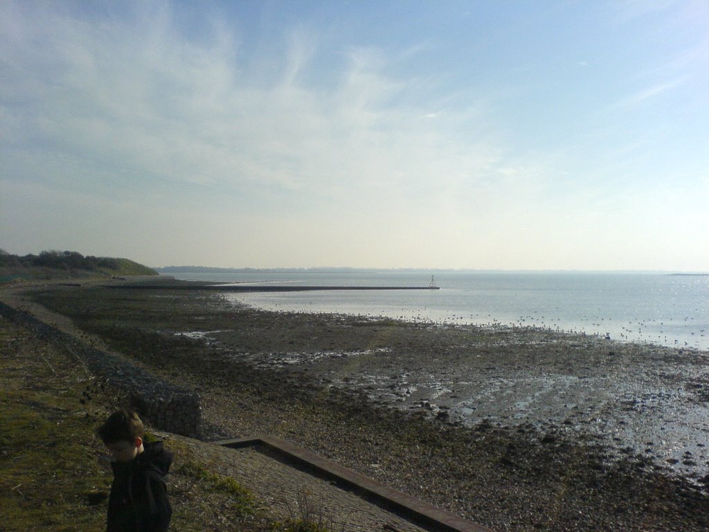 behind buds farm sludge works