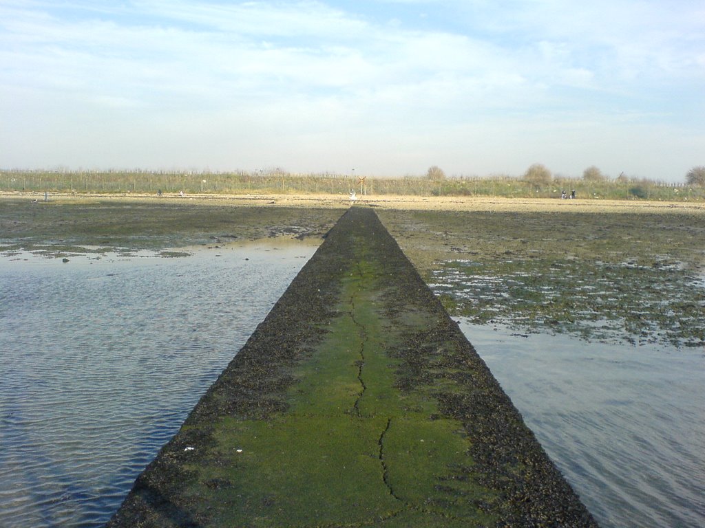 the disused sewage outlet langstone [apparently disused :S ]