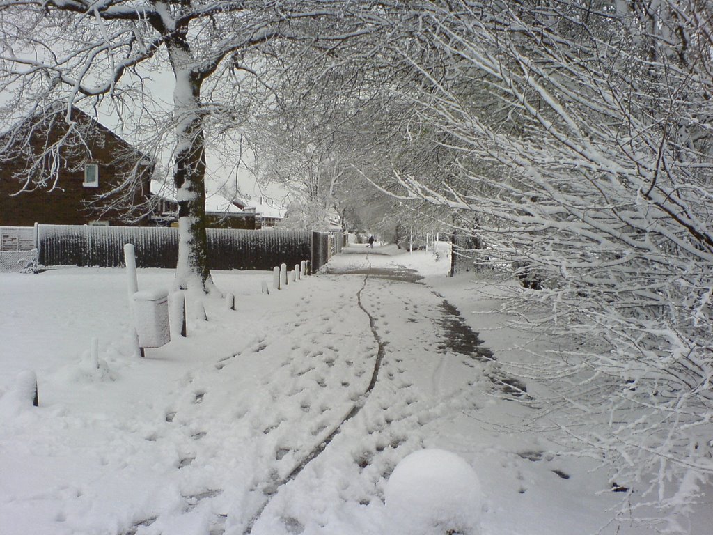 hooks lane covered in snow