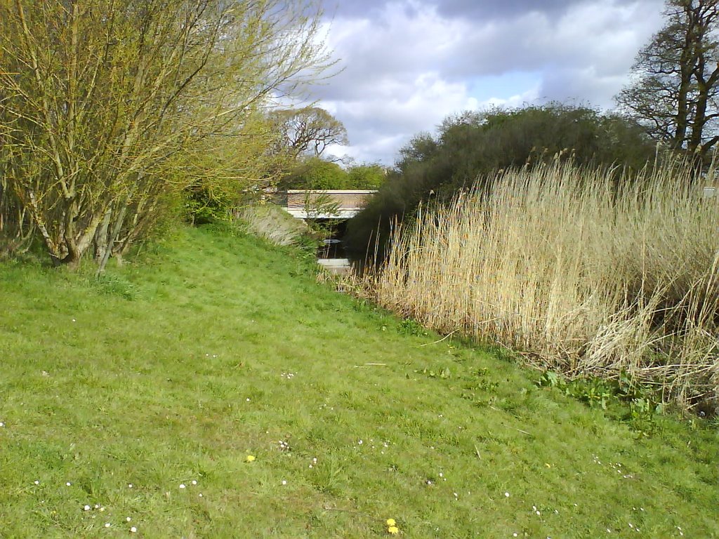 bridge on purbrook way