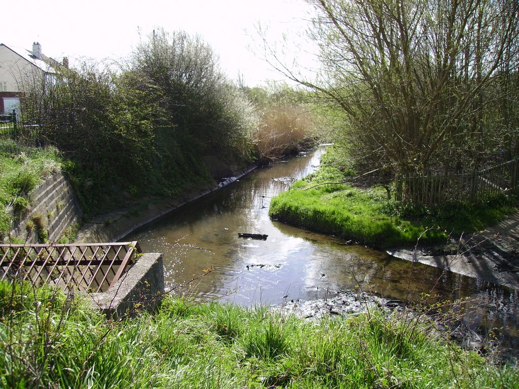 manky river between middle park way and botley drive