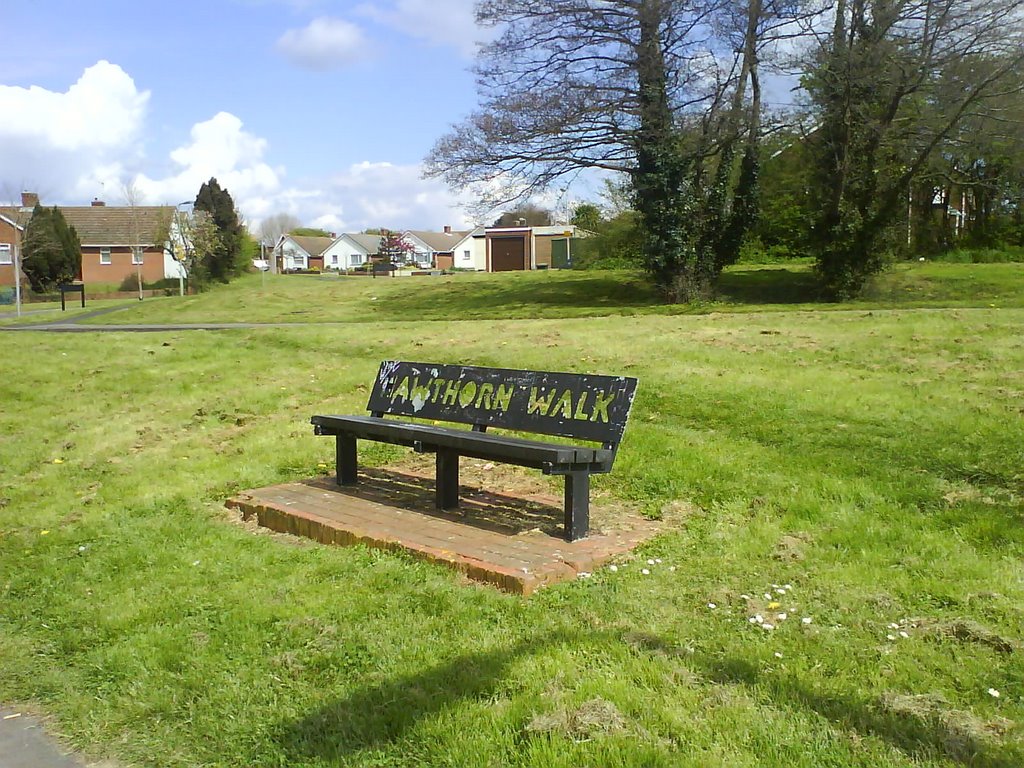 Hawthorn walk just off new road