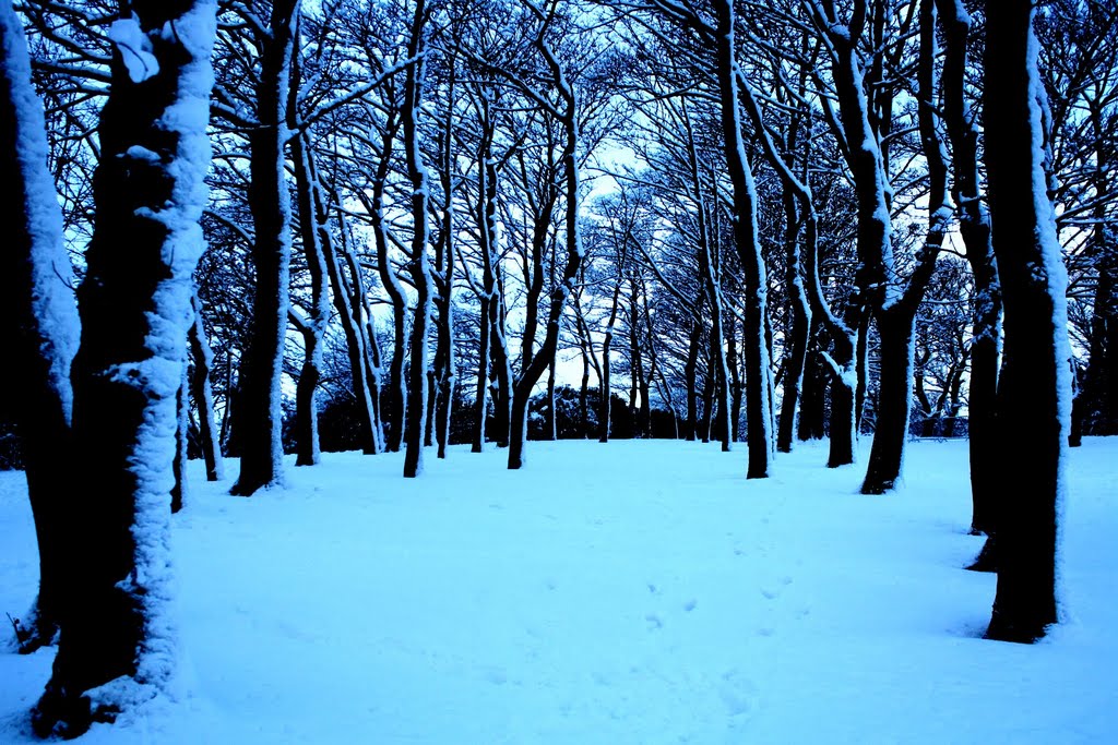 More trees