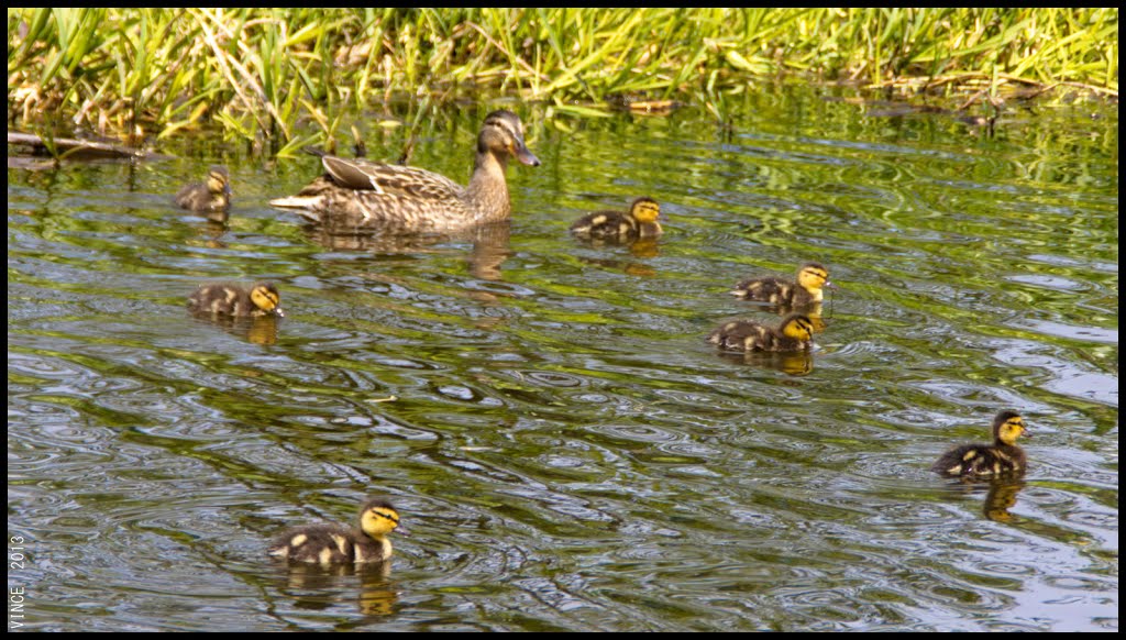 Family outing......