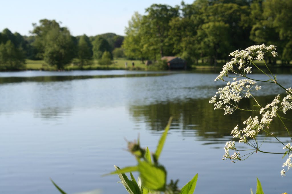 Poynton Pool looking east towards the boathouse