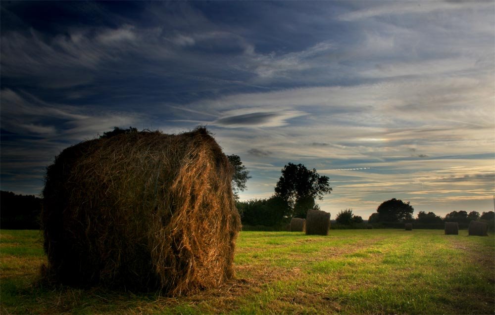Hazel Grove Haystacks