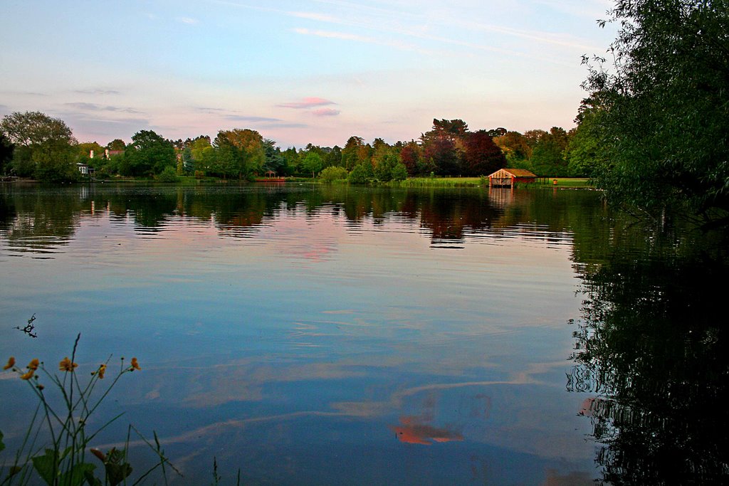 Dusk at Poynton Pool. Looking East