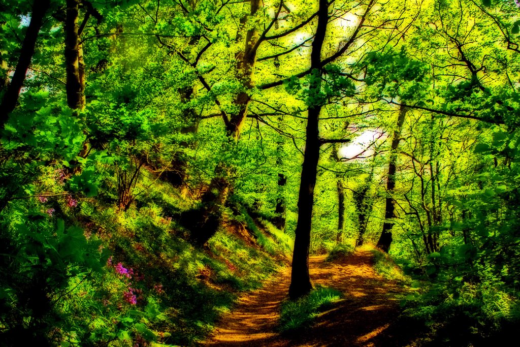 Ladybrook Valley, Hazel Grove