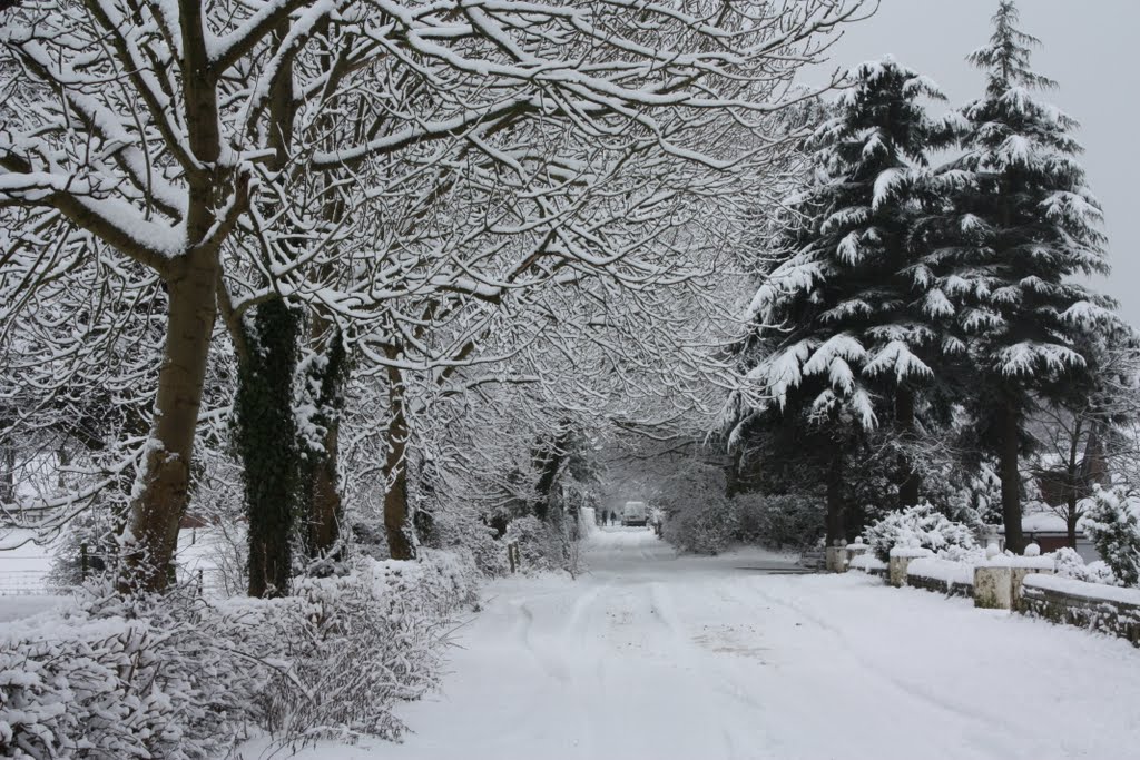 Towers Road Poynton In the Snow