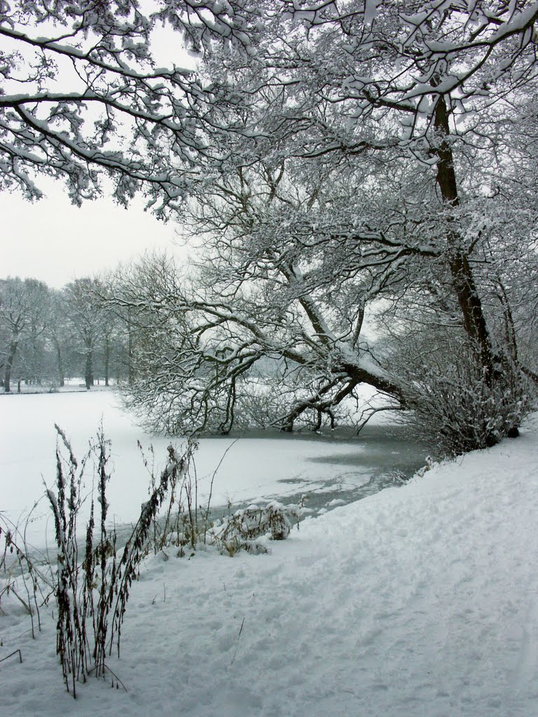 Poynton Pool in Winter
