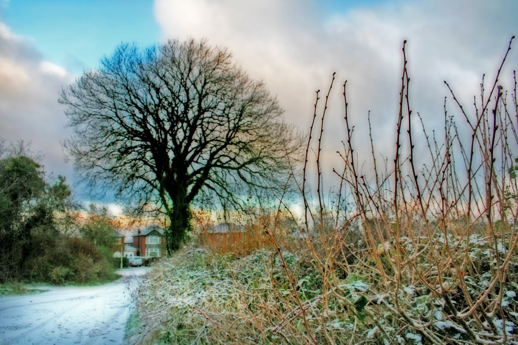 Hazel Grove - Old Mill Lane