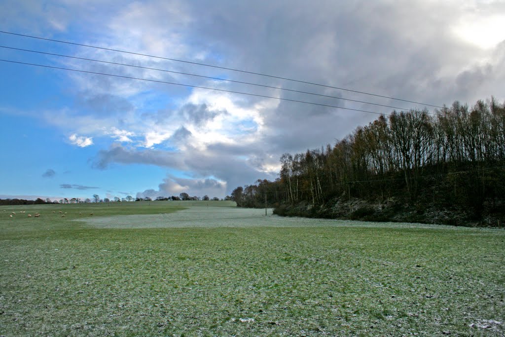 Path towards old poynton mines